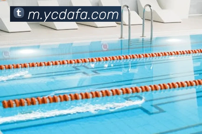 大发彩票发展历程